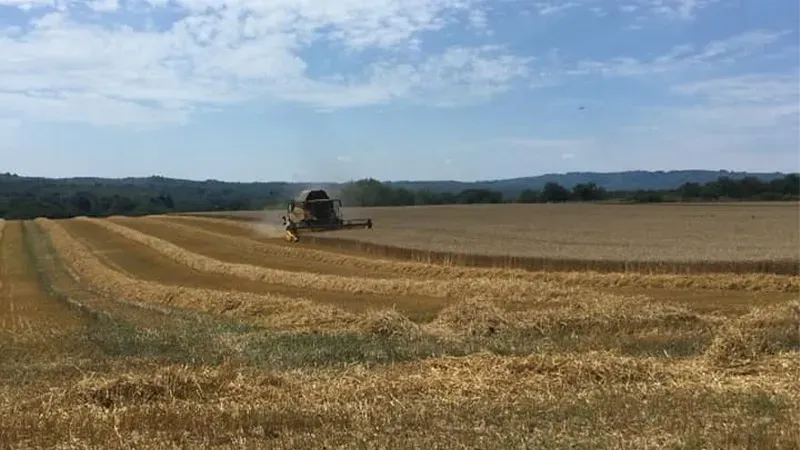 nos travaux agricoles (2)